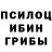 Галлюциногенные грибы Psilocybine cubensis Eriol Muarem