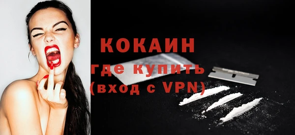 ПСИЛОЦИБИНОВЫЕ ГРИБЫ Сосновый Бор