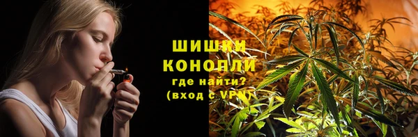 дурь Инта