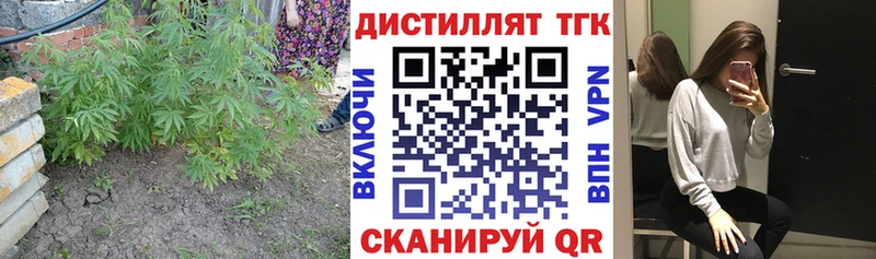 Дистиллят ТГК гашишное масло  МЕГА маркетплейс  Межгорье 